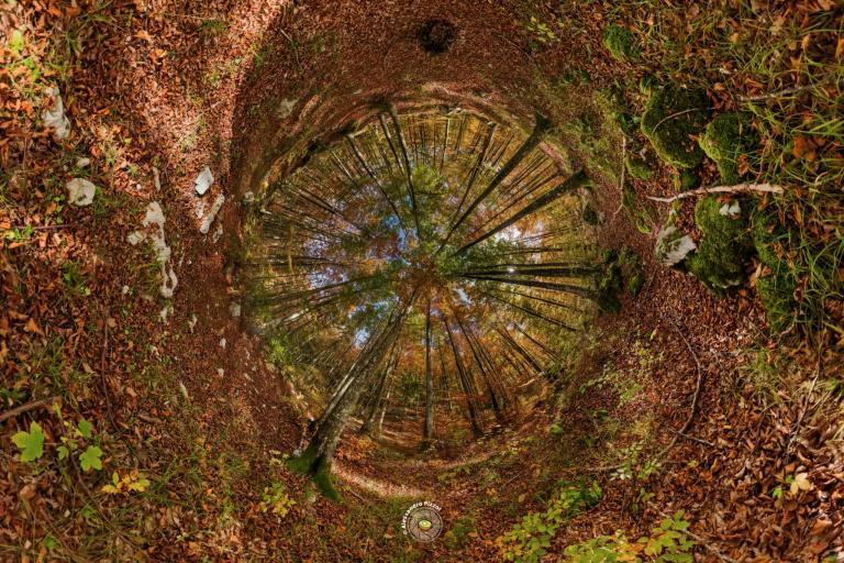 Autunno in Cansiglio